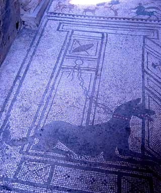 Pompei mosaico